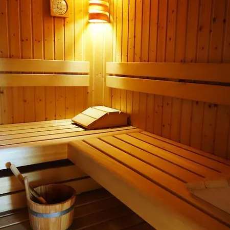 Apartment Apartement Ringhofer By Schladmingurlaub Schladming